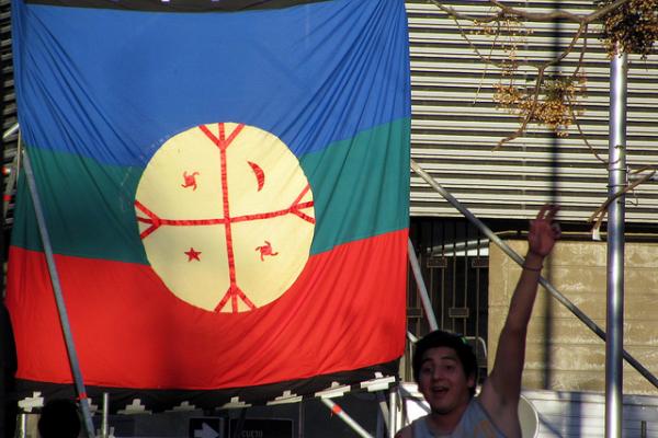 Bandera mapuche y un javen saludando.