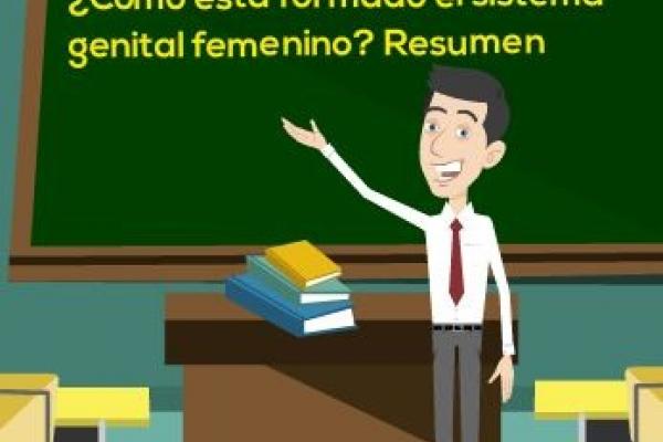 Cómo está formado el sistema genital femenino