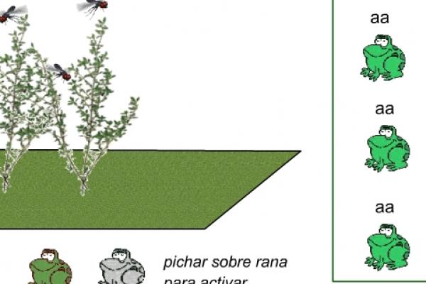 Una captura de pantalla del simulador, mostrando ranas y su evolución