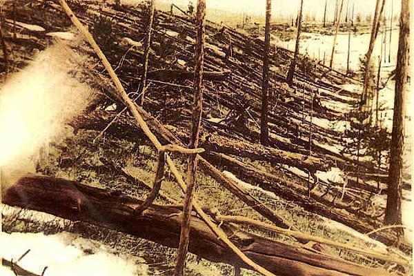imagen de árboles derribados en el evento Tunguska en 1908