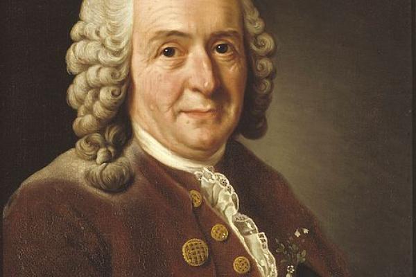 Carl von Linne