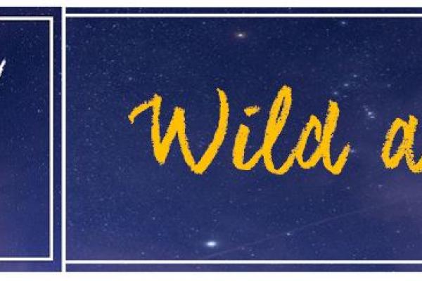 wild animals