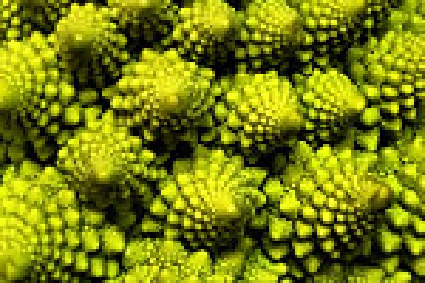 imagen de fractal