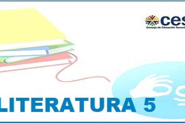 Literatura 5