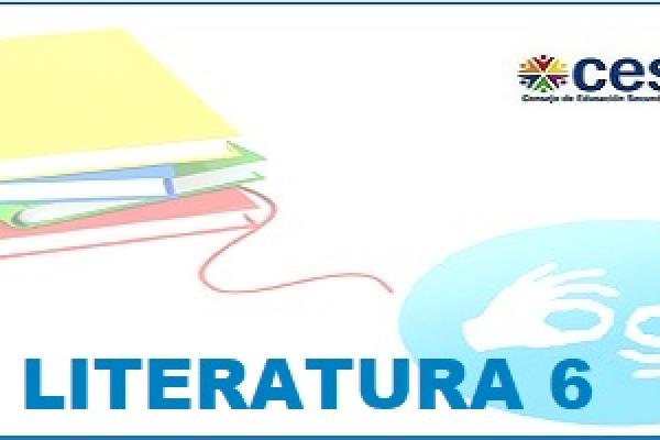 Literatura 6