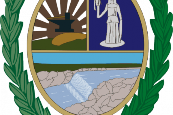 Escudo de Salto