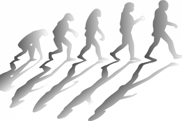evolucion