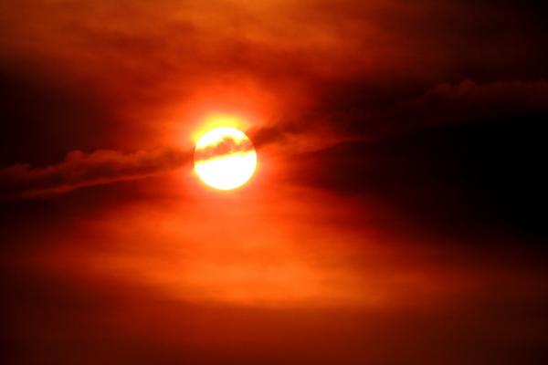 Imagen de dominio público. Origen: Pixabay.