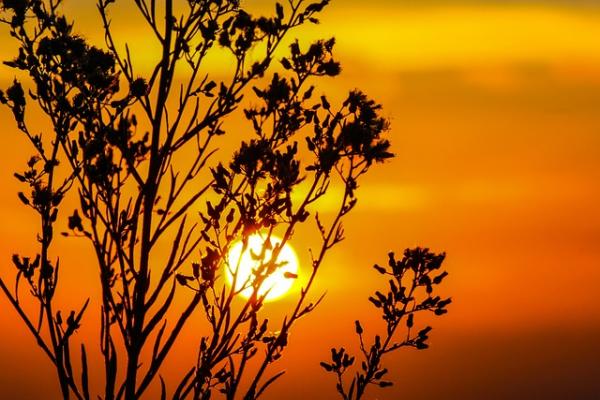 Sunset.