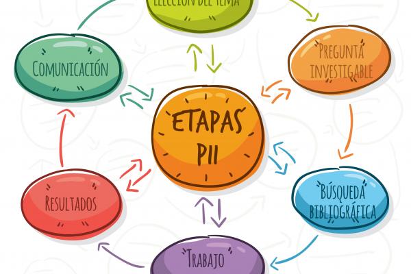 Etapas PII