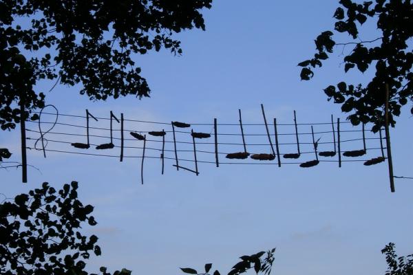 Imagen que muestra notas musicales desplegadas a lo alto, con el cielo de fondo