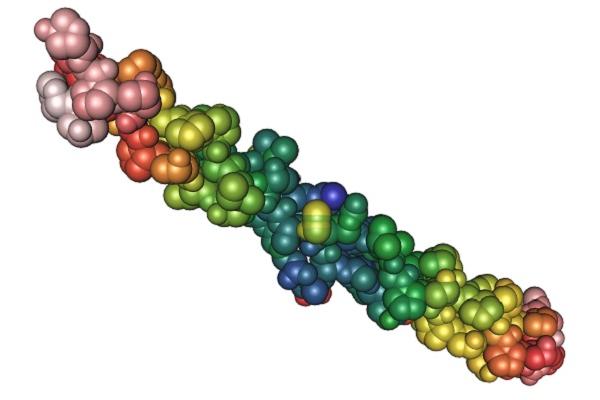 Representación de la estructura 3 D del colágeno