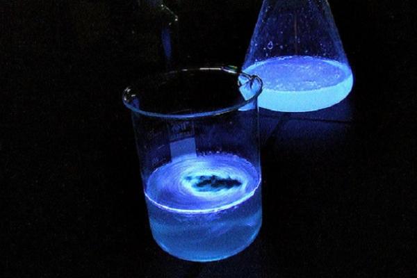 Vaso de bohemia y matraz erlenmeyer conteniendo luminol
