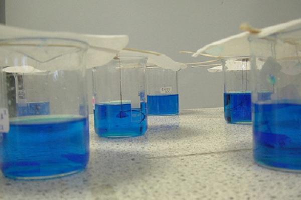 Haciendo cristales de sulfato cúrpico