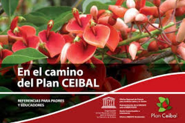 Imagen del libro En el camino del plan ceibal