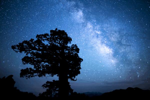 Paisaje nocturno