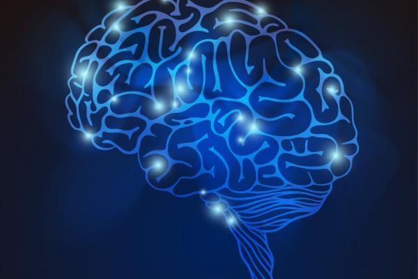 Imagen de un cerebro y conexión de redes neuronales