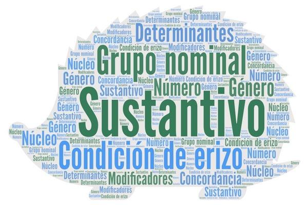 Erizo con palabras clave sobre el tema: grupo nominal, sustantivo, determinantes, modificadores, núcleo, concordancia