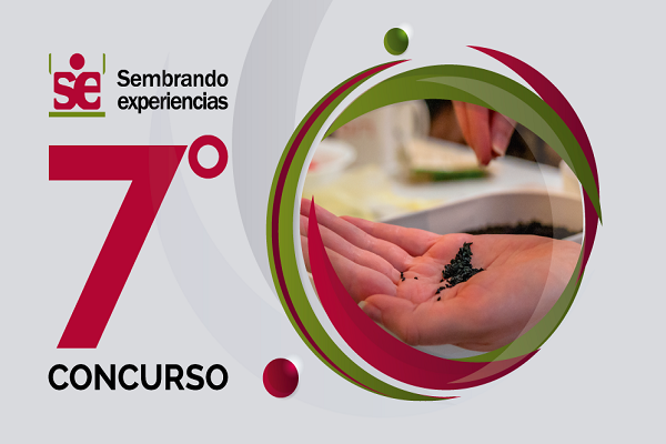 Imagen concurso