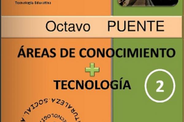  Tapa de la Revista Puente número 8