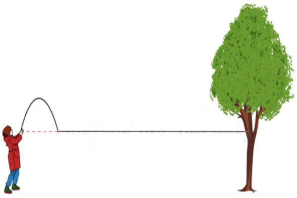 Niña generando un pulso en una cuerda atada a un árbol.