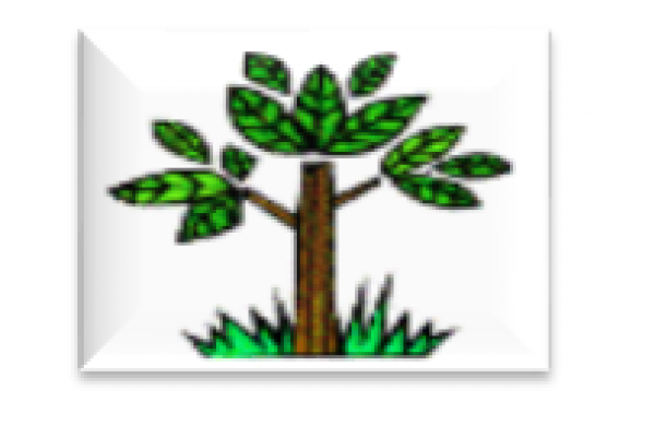 Árbol que representa la Dirección de Educación de Jóvenes y Adultos