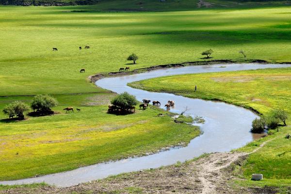 Pradera. Imagen libre derechos. Origen: Pixabay