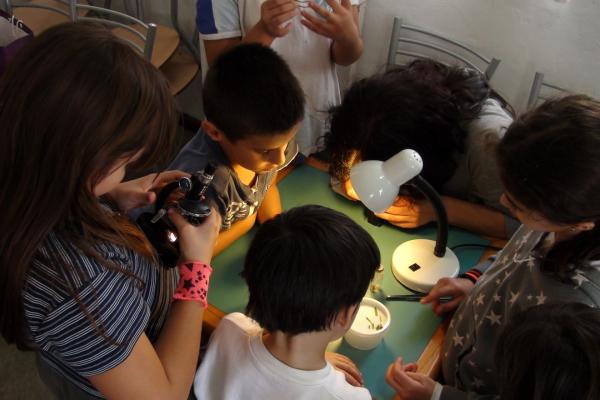 Grupo de niños