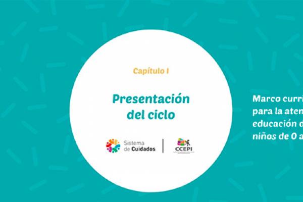 Marco curriucular