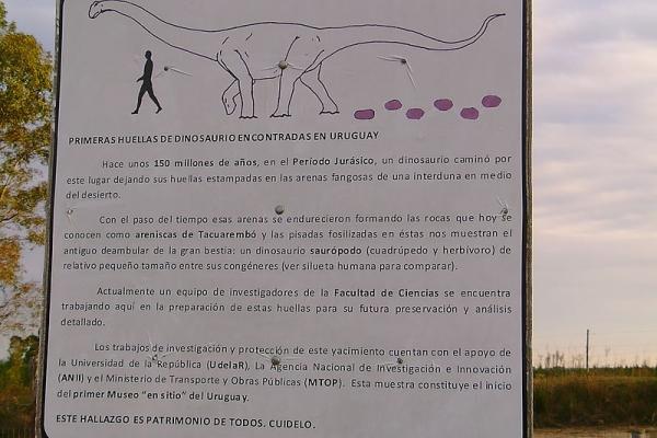 Huellas de Dinosaurios