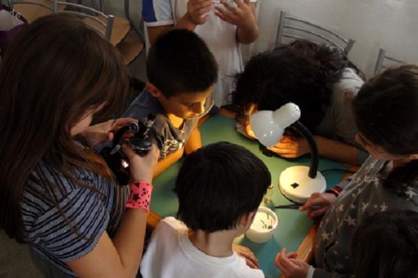 Fotografía de un grupo de niños utilizando un microscopio