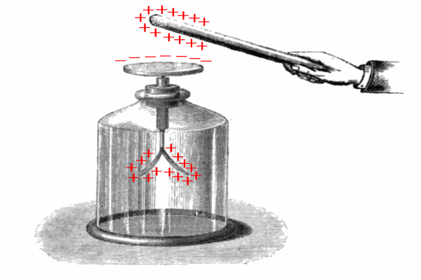 Electroscopio. En la imagen se muestra una barra cargada positivamente que se acerca a un electroscopio, en el mismo se observa un reacomodamiento de las cargas de modo que las positivas se van hacia la zona cercana a la barra y las positivas que quedan en las laminillas, hace que ellas se separen lo más posible.