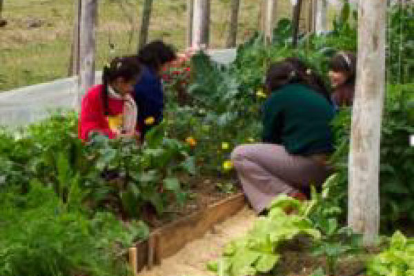 Personas en una pequeña huerta: