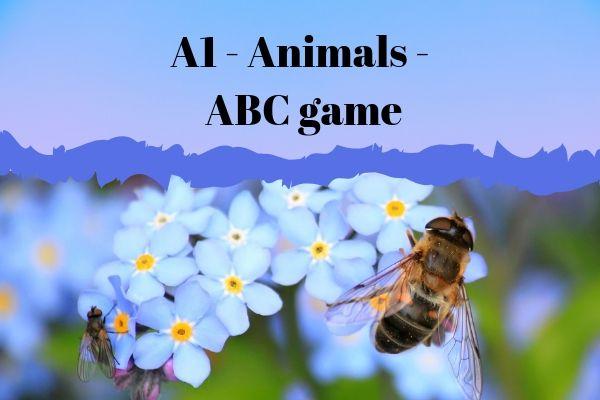 A1 Animals