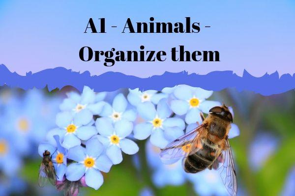 Animals organize