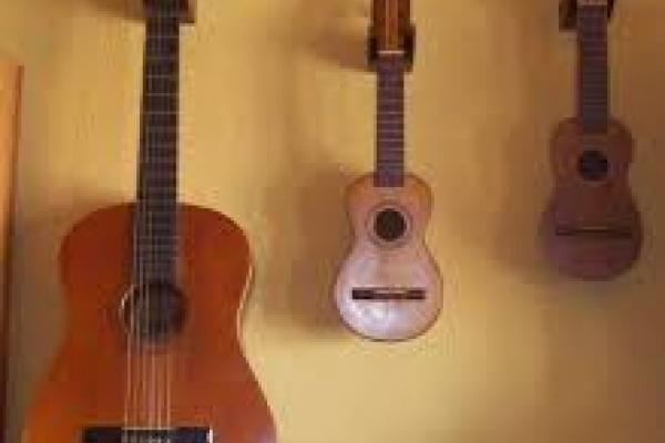 guitarra y charangos