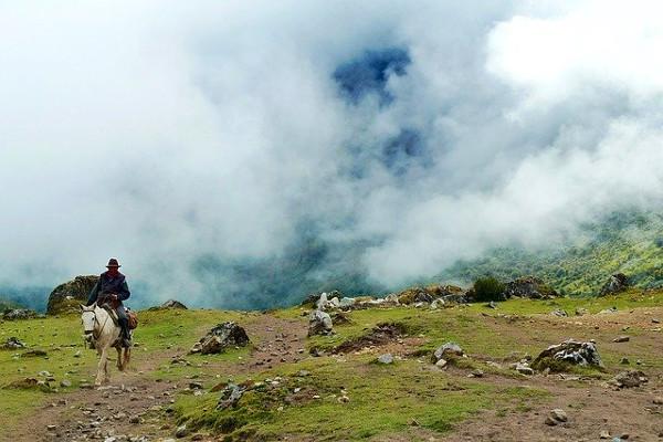 caballo
