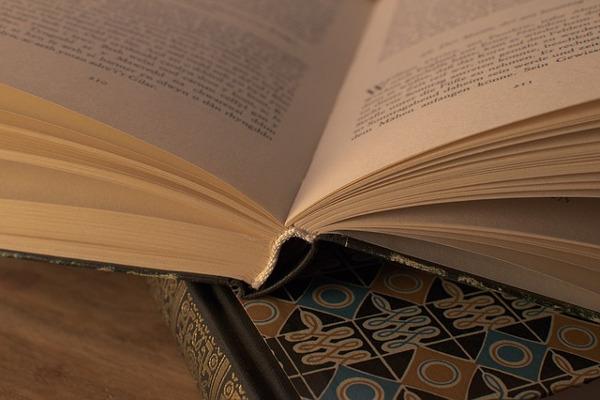 literatura
