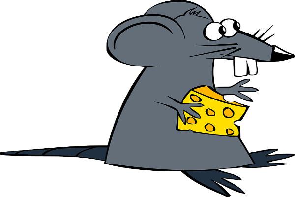rata
