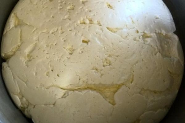 Cuajada que se obtiene en el proceso de elaborar queso