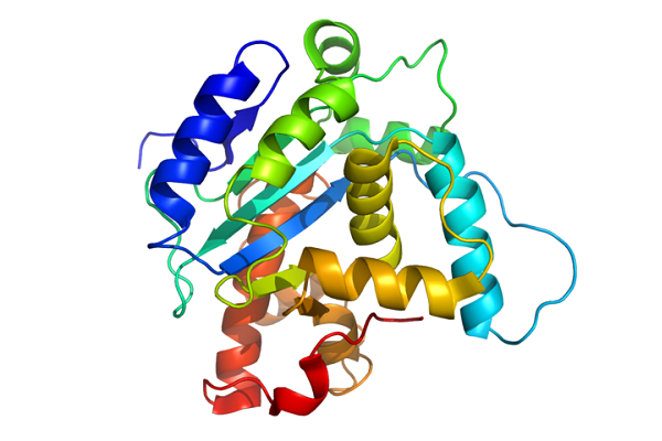 Representación de la estructura de una proteína