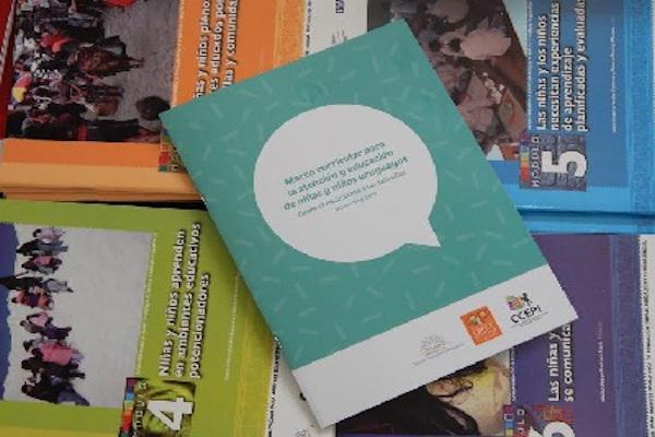 tapa libro marco curricular