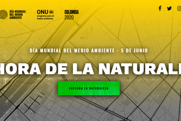 Captura de pantalla del sitio Web