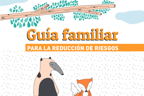 Guía SINAE