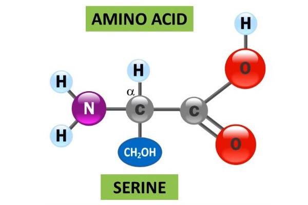 Fórmula del aminoácido serina