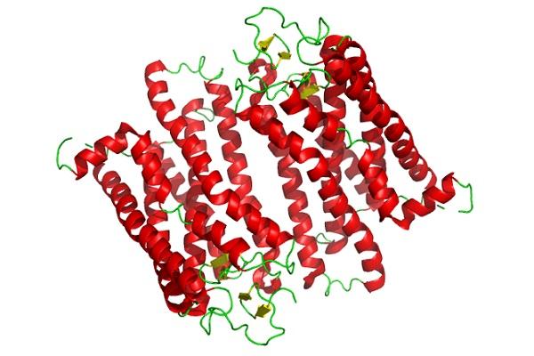 Representación estructural de la proteína rodopsina que participa en el proceso de la visión