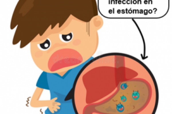 Helicobacter Pylori. Imágenes libres.