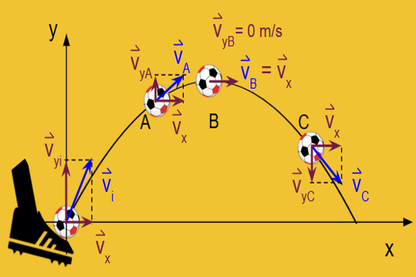 Pie pateando una pelota, se muestra la trayectoria parabólica que describe y se representa la velocida, con sus componentes en diferentes puntos de la trayectoria.