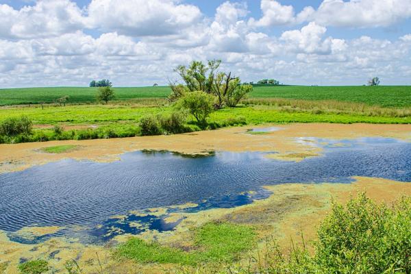 Imagen libre de derechos de autor. Paisaje de Uruguay.  