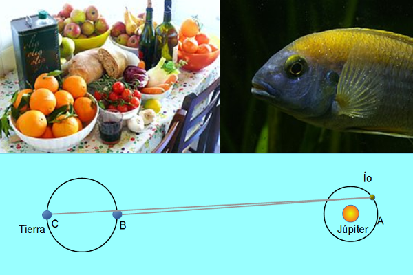 La imagen muesstra alimentos, un pez y un diagrama del experimento de Roemer.